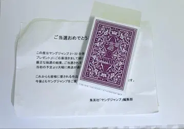 노기자카46 영점프 카드놀이 YJ 특제 노기자카46 카드놀이 당선품 기념