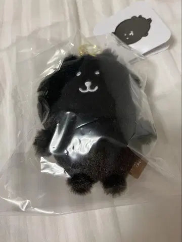 나가노 캐릭터즈 컬러 나가노의 곰 마스코트 차콜