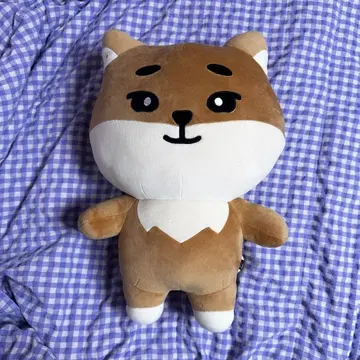[ 공식 ] DAY6 용케 30cm 봉제 인형