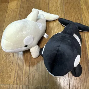 알비노 나고야항 수족관 봉제 인형 복권 범고래 2종류