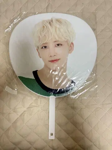 SEVENTEEN 정한 부채