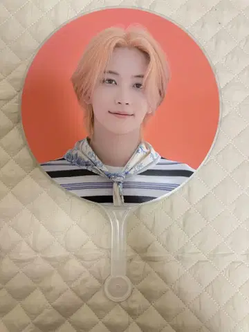 SEVENTEEN 정한 부채