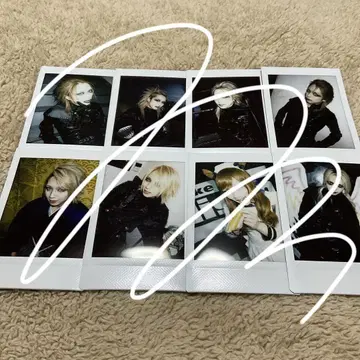 JILUKA Boogie Zyean Sena Ricko 폴라로이드