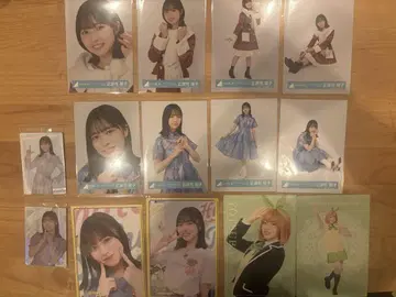 쇼겐지 요코 묶음 판매