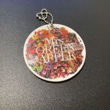 Mrs. GREEN APPLE ANTENNA 슬라이드 거울
