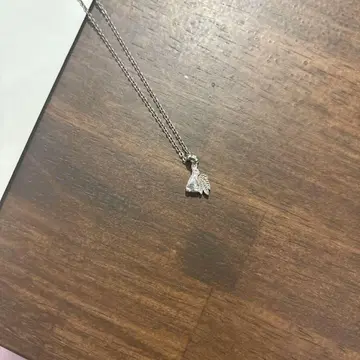 fr2 버드나무 목걸이