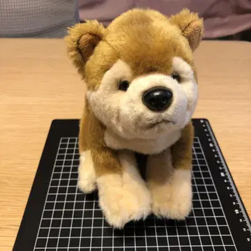 시바견 봉제 인형 REGALO 리얼 도그 컬렉션