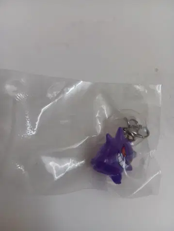 포켓몬 메지루시 액세서리 겐가