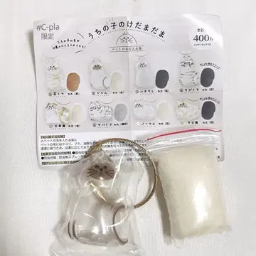 우리 집 고양이 털뭉치 샴