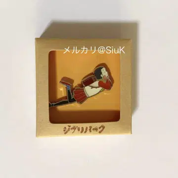 지브리 파크 한정판 오모히데 포로포로 타에코 핀 배지 핀즈 미개봉 새상품