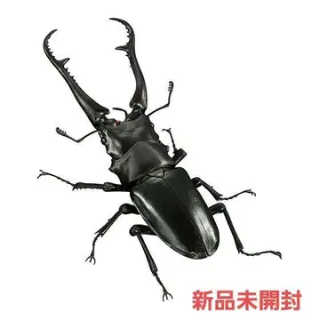 기라파 넓적사슴벌레 다이스케 생물대도감 어드밴스 미개봉 새상품