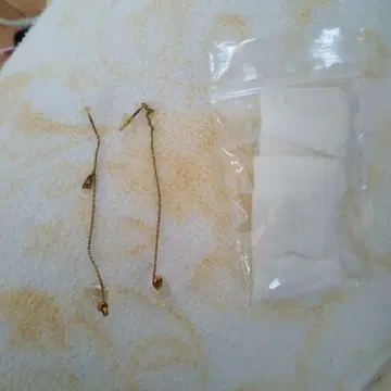 체인 타입 귀찌