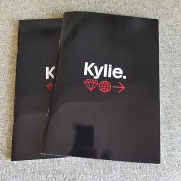 카일리 미노그 투어 VIP 노트