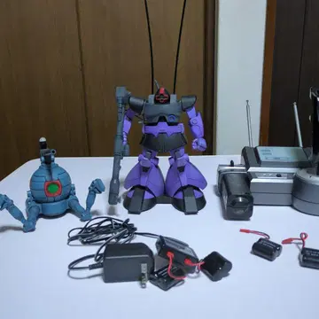 RC 돔