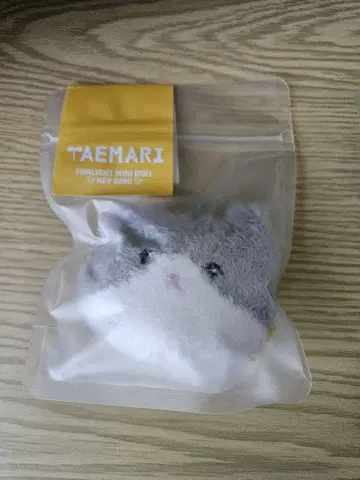 테마리 TAEMAR 팬 라이트 키링 I SHINee 태민