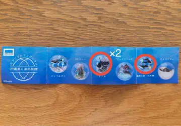 오키나와 츄라우미 수족관 한정판 카프리움 컬렉션 3개 가챠