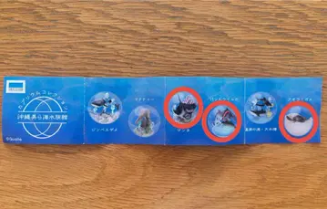 오키나와츄라우미 수족관 한정판 카프리움 컬렉션 3개 가챠