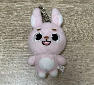 DAY6 데니멀즈 백참