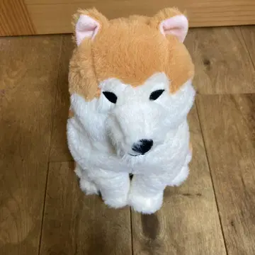 시바견 봉제 인형 중형 화이트와 브라운