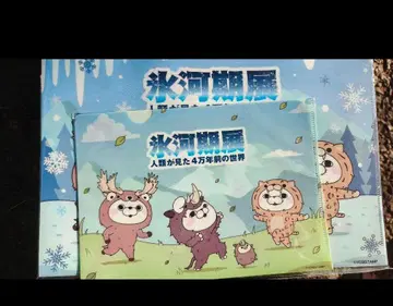 빙하기 x 요시 스탬프 한정판 콜라보 클리어 파일 세트