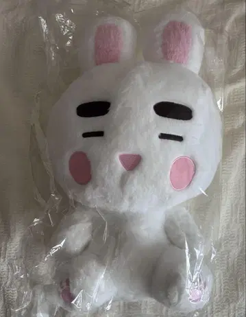 온유 진기 40cm 봉제 인형 본인 음성 포함