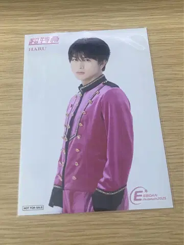EBiDAN museum 입장 혜택 브로마이드 하루