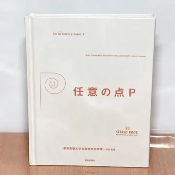 임의의 점 P 3D 스테레오 북 게이오기주쿠대학