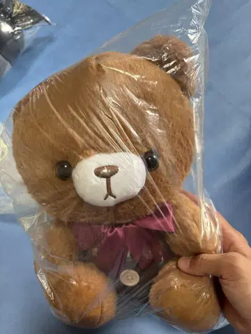 브라운 곰 봉제 인형