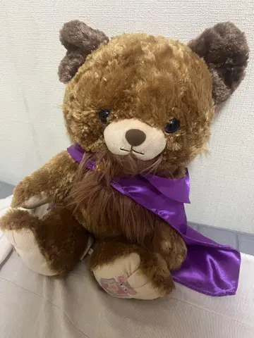 디즈니 미녀와 야수 비스트 유니베어 포브