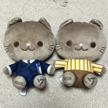 seventeen SEGA 고양이 마스코트 호시 봉제 인형