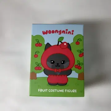 woongnaini 웅니니 지운 후르츠 코스튬 피규어