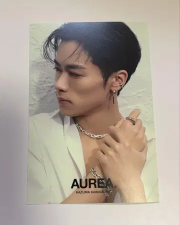 카와무라 카즈마 AUREA. 엽서