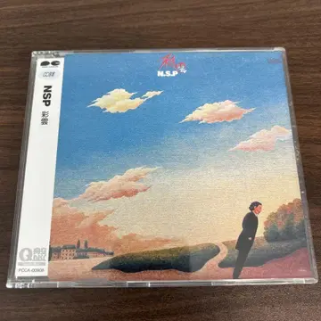 NSP/채운