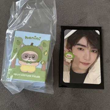 zeroni hanini 장하오 fruit costume figure