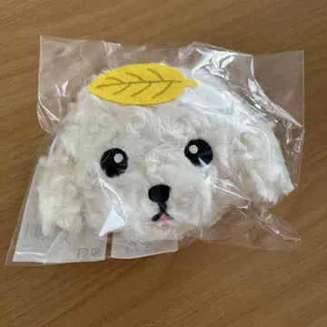 창민 포치 파우치