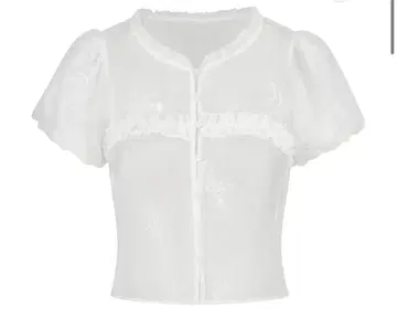 flower embroidery sheer blouse