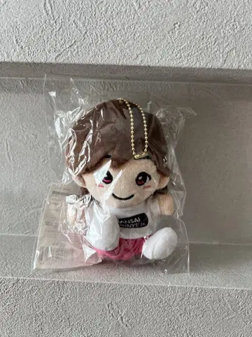 치비 누이 미치에다 슌스케 Kansai Johnny's 나니와단시 정품