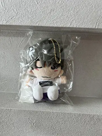 봉제 인형 마스코트 키링 포함