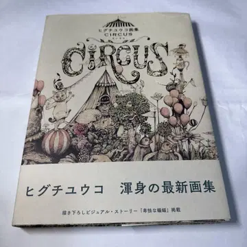 히구치 유코 화집 CIRCUS