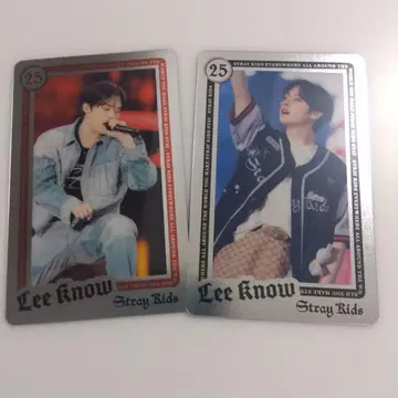Straykids 랜덤 라이브 포토 카드 리노
