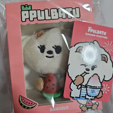 TXT 범규 PPULBATU 밤굿 키링 POPUP2
