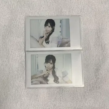 아리스 루나 란체키 폴라로이드