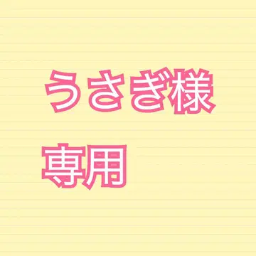 디즈니씨 35주년 해피 마칭 팬 스텔라 루