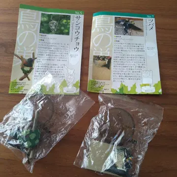 카이요도 버드테일즈 새 둥지 컬렉션 제비 삼광조 미조립