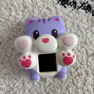 못치마루즈 푸닛토냥코 고양이