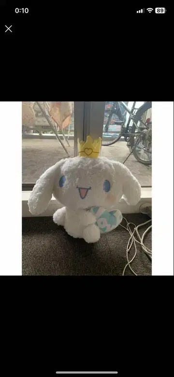 최종 가격 인하! 시나몬 Big 봉제 인형