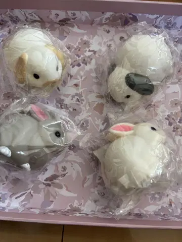 리틀 토끼 라이트