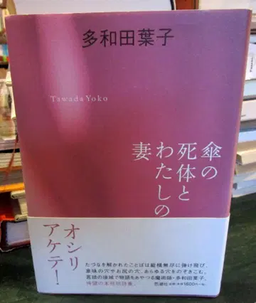 우산의 시체와 나의 아내