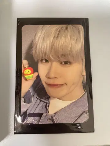 제베원 zeroni 후르츠 코스튬 트레이딩 카드 테니니 taenini