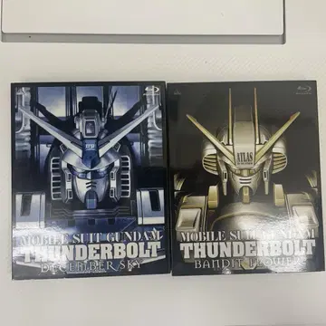 건담 썬더볼트 DECEMBER SKY와 BANDIT FLOWER